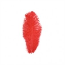Struisveer rood 35 cm